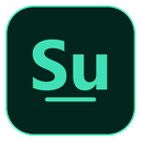 MSSurface